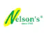 Ice Cream Equipment Customer collaboration of Nelsons-Logo