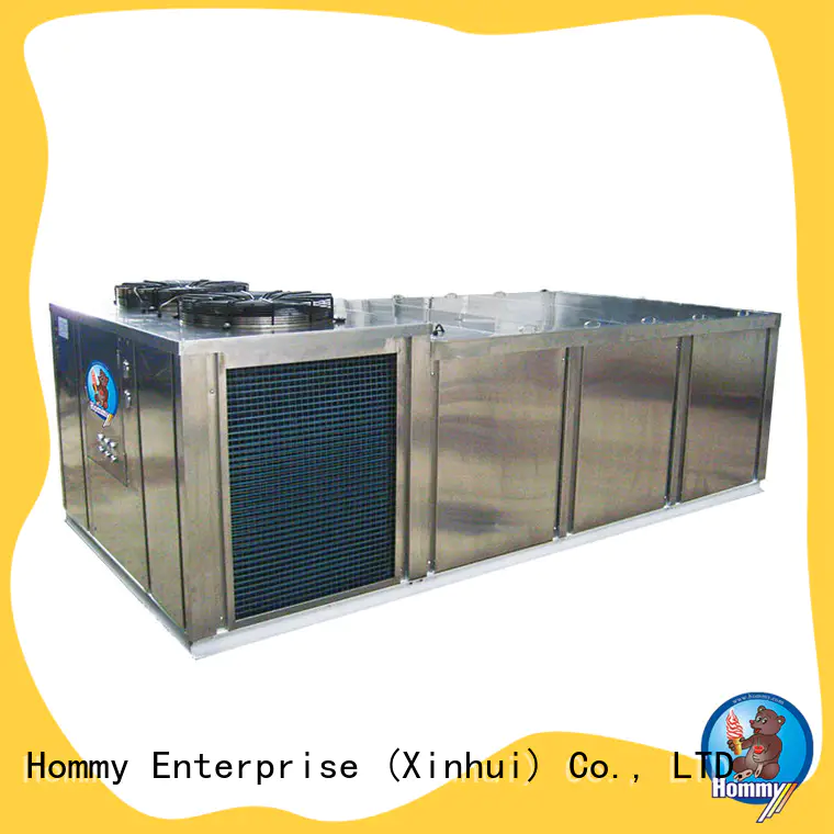 multifunctional ice block machine price unique design for hotels Hommy