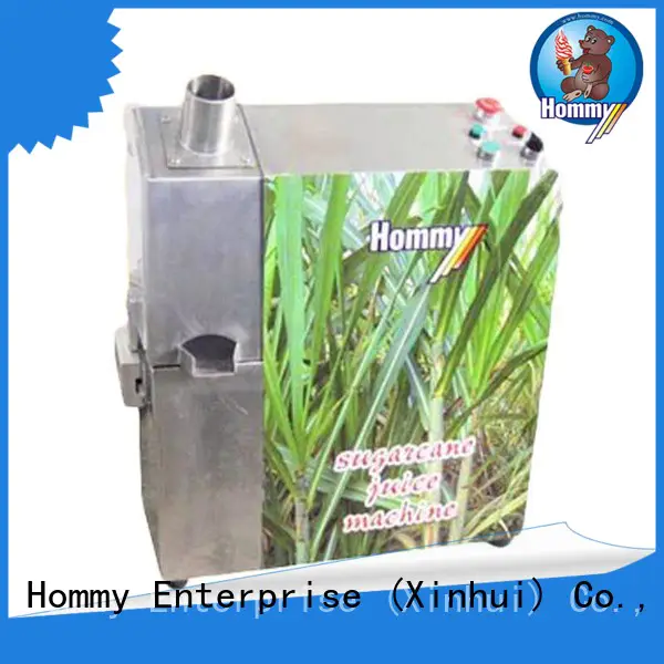 professional sugar cane juicer machine hygienic manufacturer for food shop