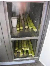 Zj190 Automatic Sugarcane Peeling Juice Making Machine With Freezer
