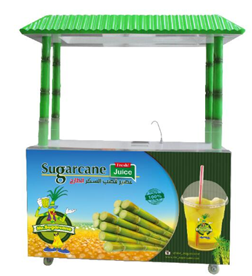 Zj190a Portable Industrial Sugarcane Frozen Juice Extract Machine