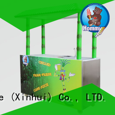 professional sugarcane machine new solution for food shop